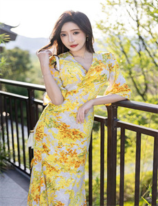 天子寻龙电视剧